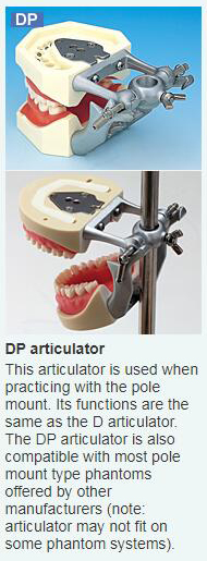 DP Articulator